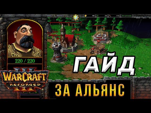 Гайд За Альянс для НОВИЧКОВ - WarCraft 3:Reforged - Как играть за АЛЬЯНС в ВАРКРАФТ 3