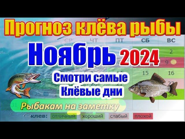 Прогноз клева рыбы на Ноябрь 2024 Календарь рыбака Прогноз клева рыбы на неделю Лунный Календарь