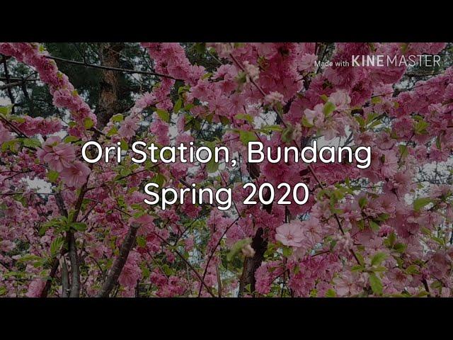 Ori Station, Bundang | Spring 2020 | Life on the Edge of Bundang