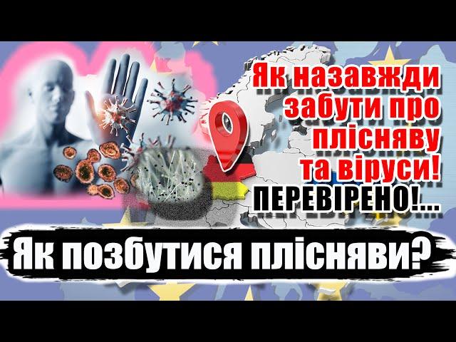 Як позбутися плісняви? Профілактика від вірусів, бактерій та грибків