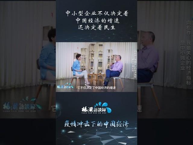 中小型企业不仅决定了中国经济的增速，还决定着民生#shorts