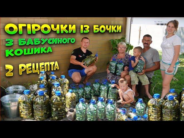 Бізнес на огірках Домашня технологія вирощування! Найкращий і простий рецепт засоювання