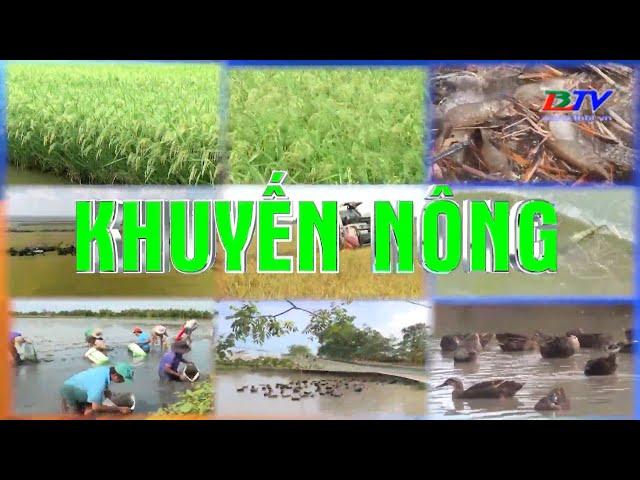 Khuyến nông - 01/9/2021: Nuôi tôm thâm canh theo hướng ASC bền vững.