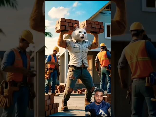 #cat #catcatfunnyfightcompilation #animals #funny #dog #cartoon #cute #meow #unstoppable #catoonsmee