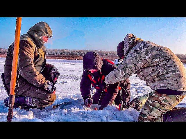 ВОТ ЭТО ЛОПАТЫ!! Дикий клёв леща на мормышку! Ловля на КОМБАЙНЫ .Рыбалка с Always Alone