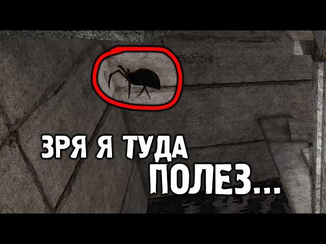 Сидел, спокойно играл и тут ЭТО.. - STALKER Тайный Путь #2