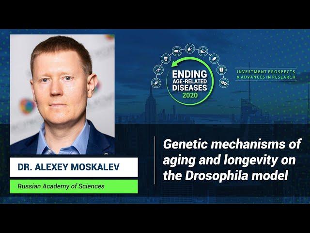 Alexey Moskalev | Genetic Mechanisms of Aging in the Drosophila Model