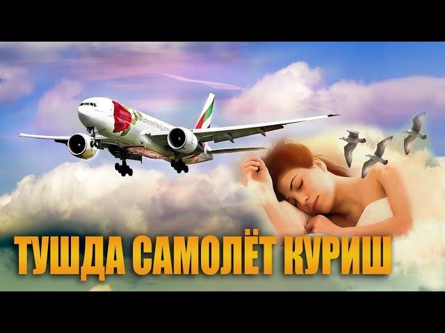 Туш табири -Тушда самолёт куриш