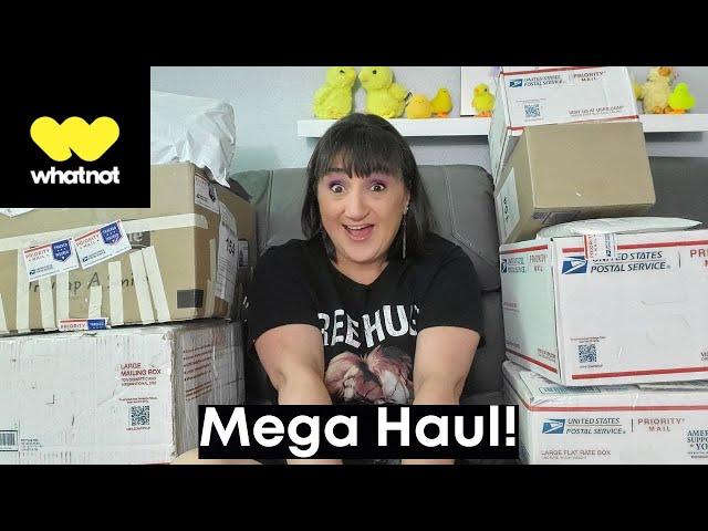 See What I Bought Late Night On WHATNOT | So Many Great Deals And Mystery Boxes!