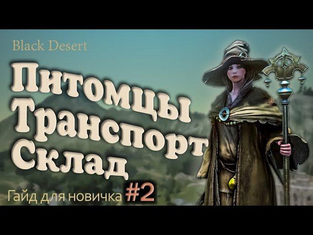 №2 Транспорт в бдо какого коня выбрать Питомцы в Гайд для новичка в Black Desert 2023