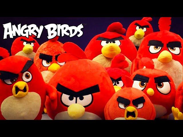 Angry Birds | Retro Red