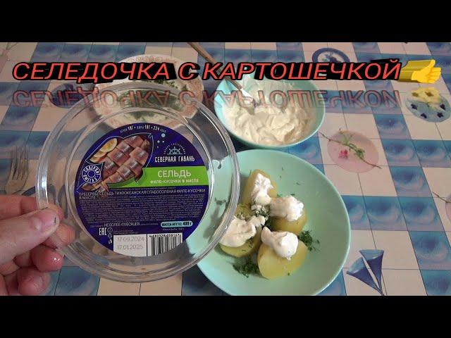 ПРЕСЕРВЫ  СЕЛЬДЬ филе кусочки с картошкой и ЧЕСНОЧНЫМ соусом,Северная Гавань сельдь АТЛАНТИЧЕСКАЯ