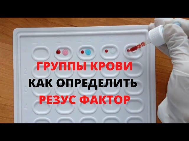 Определение группы крови, резус фактора | Қан тобын, резусын анықтау