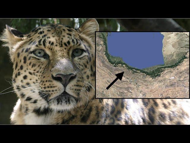 A Rainforest in Turkey & Iran? | Odd Geography