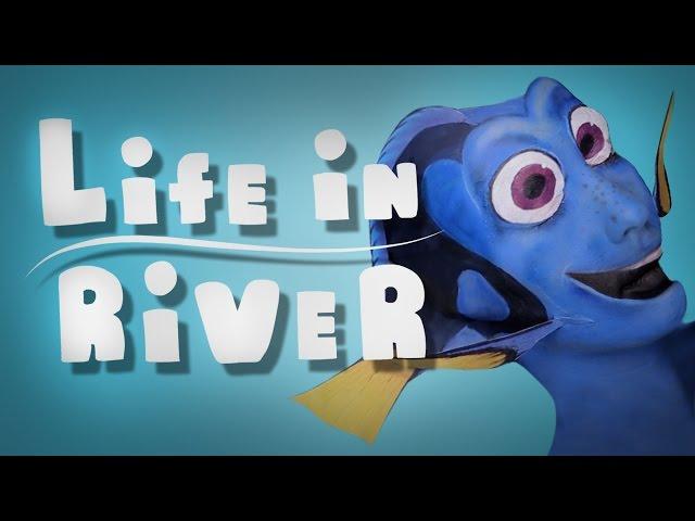 Life in river