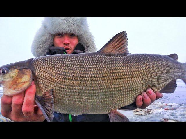 СЧАСТЛИВЫЕ ЛЮДИ ТУНДРЫ! ОДНИ В АРКТИКЕ НА РЫБАЛКЕ!  ЗАПОЛЯРЬЕ Ч.6