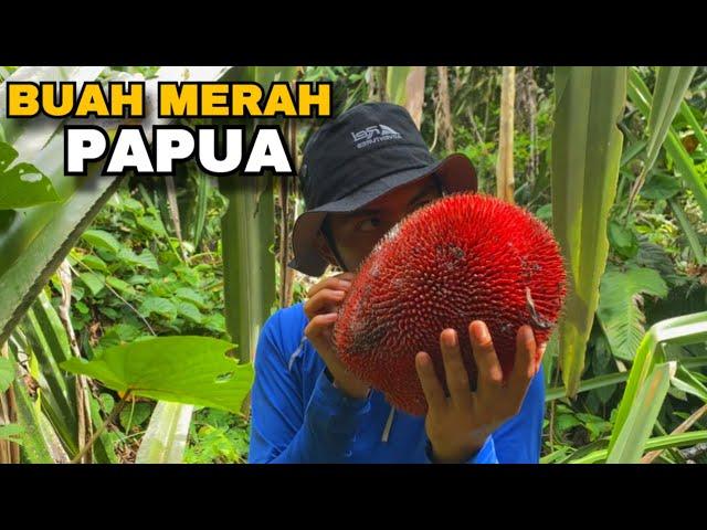 Buah-buahan dari hutan PULAU tak berpenghuni Papua - Kin Survive Trip To Papua #2