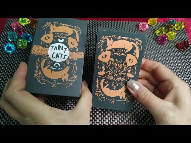 ШИКАРНАЯ КОШАЧЬЯ КОЛОДАTarot Cats a deck by Bunny Dee  НОВИНКА Алиэкспресс 