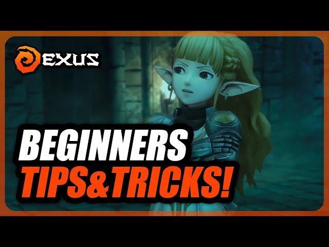 Wizardry Variants Daphne | Beginner's Tips! Important Information To Maximize Efficiency!