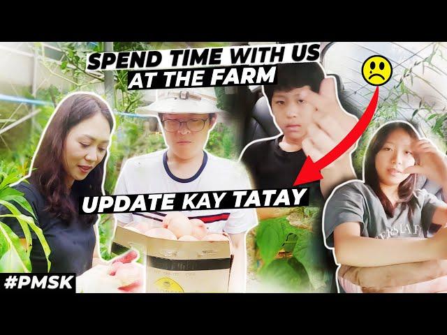 "BAHAY-KUBO" IN KOREA | VEGETABLE AND FRUIT PICKING | GROCERY HAUL | TATAY'S HEALTH UPDATE | #pmsk