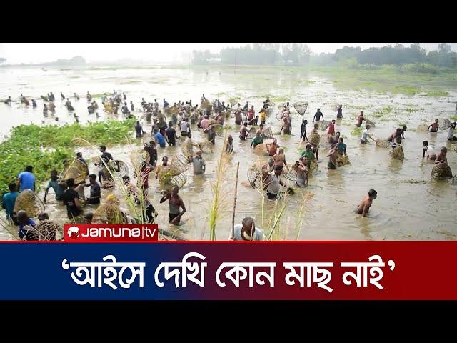 চলনবিলে হয়ে গেল পলো দিয়ে মাছ ধরা উৎসব | Chalan Beel | Natore | Jamuna TV