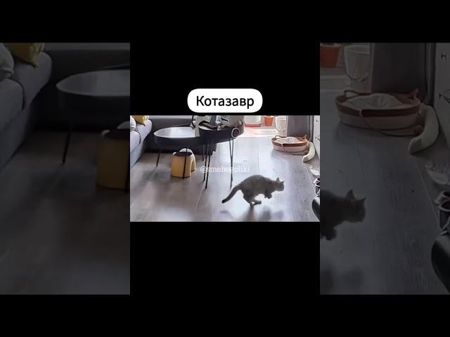 Котозавр