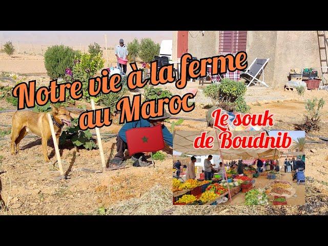 Le Maroc rural à Boudnib : notre vie à la ferme 