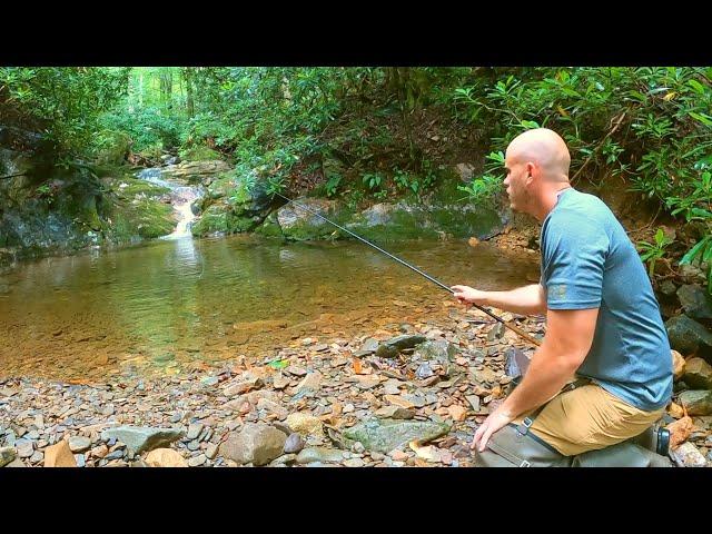 Tiny Stream Fishing & Foraging for Trout, Crawfish & Mushrooms!