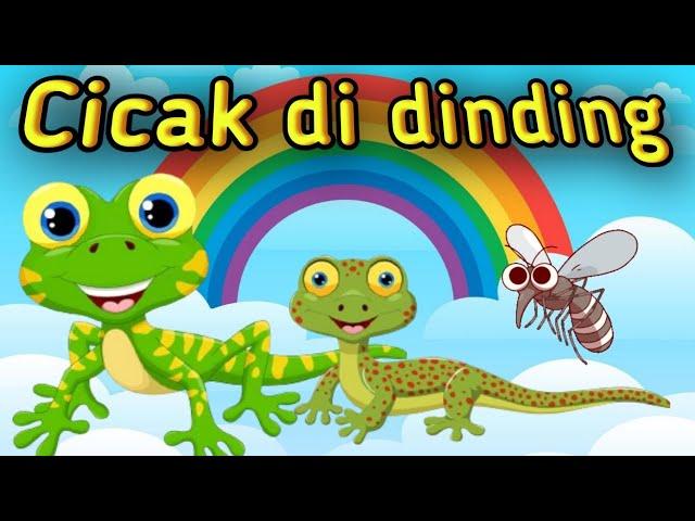 CICAK Cicak di Dinding | Lagu anak anak, Cicak cicak didinding, lagu anak indonesia