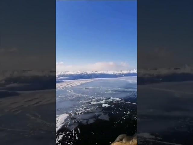 аэролодка Манёвр
