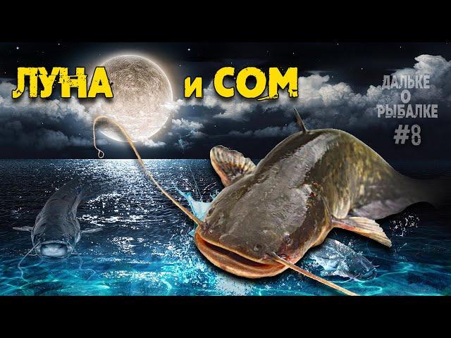 Влияние луны на клёв сома. Рыбалка на сома и фазы луны | #Дальке о рыбалке 8