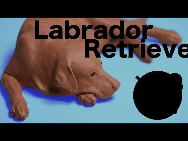 "Labrador retriever"The process of making with NSP　NSPで作るラブラドールレトリバー