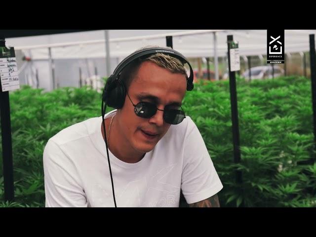 Akademik - plantación Cannabis - Dj Set