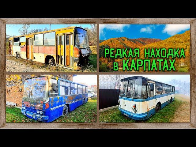 Найден Икарус МОСГОРТРАНСА в горах Карпат IKARUS 260 или 280? а так же найдены IKARUS 255 и ЛАЗ 695Н