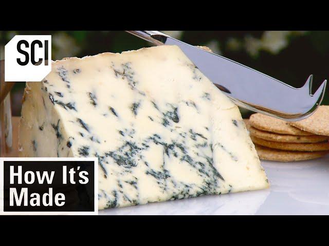 How It's Made: Blue Stilton Cheese