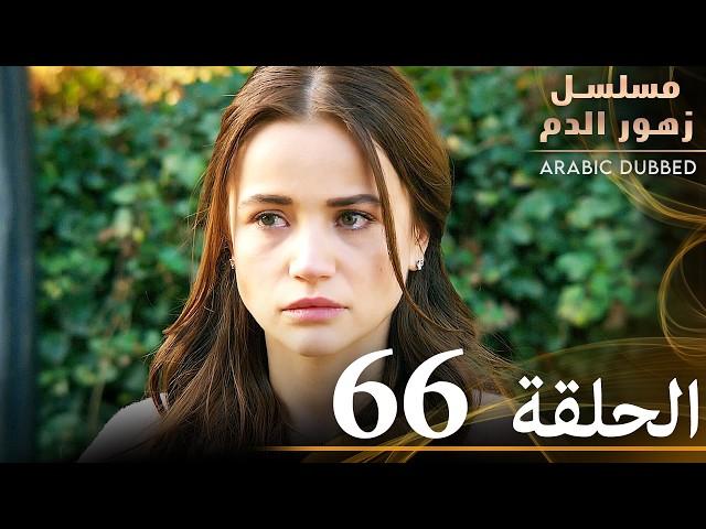 الحلقة 66 | مسلسل زهور الدم | مدبلج بالعربية | Kan Çiçekleri