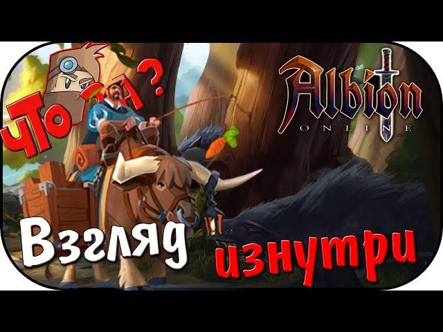 Что за Albion Online ? - Взгляд Изнутри