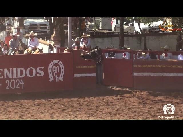 XXVII TORNEO GUADALUPANO  ASOCIÓN METROPOLITANA DE CHARROS