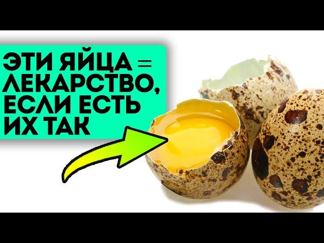 Почему медицина это скрывает?! Ведь перепелиные яйца лучше куриных, потому что...