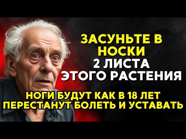 Ноги 100% ПЕРЕСТАНУТ болеть и уставать! Просто ПОЛОЖИТЕ в носки 2 листа...