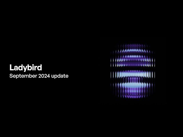 Ladybird browser update (September 2024)