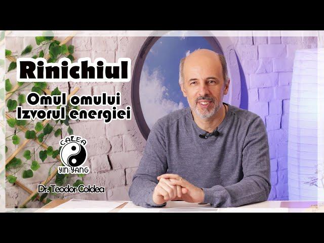 Rinichiul - Dr.Teodor Coldea - Omul omului. Izvorul energiei - Calea Yin Yang