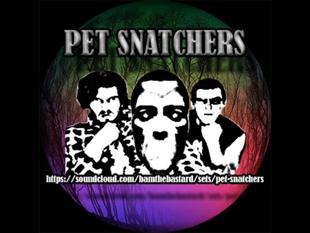 pet snatchers thoughts of a dying artist