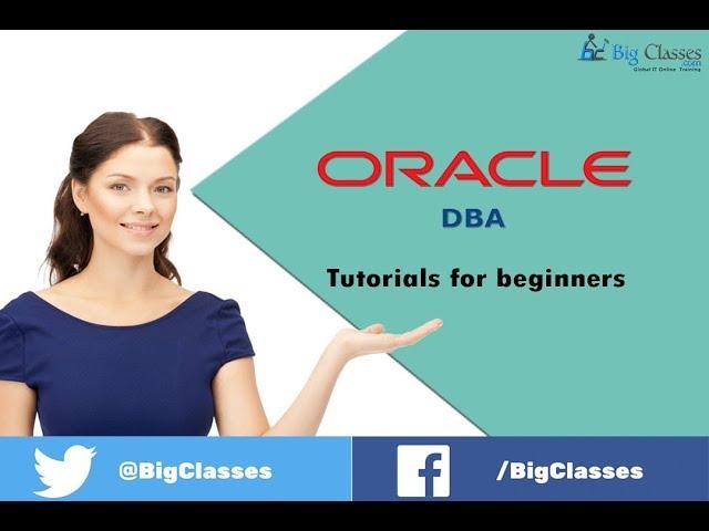 Oracle DBA tutorial introduction - Oracle DBA overview for beginners Bigclasses