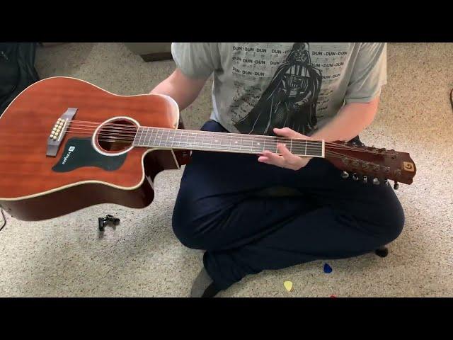 The Cheapest 12 String Guitar is AMAZING @8 Minute Axe
