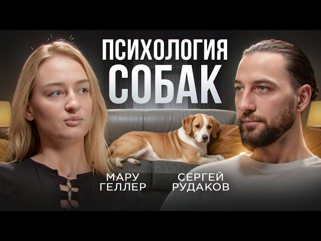 ПСИХОЛОГИЯ СОБАК – КОРРЕКЦИЯ ПОВЕДЕНИЯ И СЕПАРАЦИЯ ПИТОМЦА / СОВЕТЫ ЗООПСИХОЛОГА