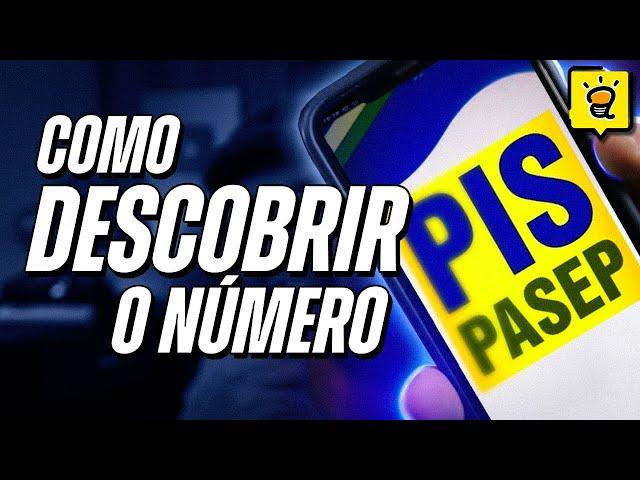 Como saber o número do PIS pelo CELULAR ou Computador, usando seu CPF