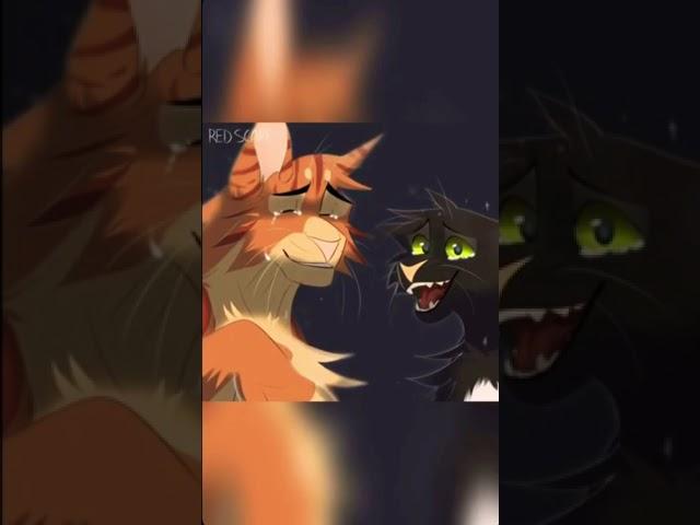 Krutobok, Firestar and Burnt #warriorcats #shorts