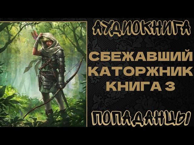 АУДИОКНИГА ПОПАДАНЦЫ: СБЕЖАВШИЙ КАТОРЖНИК. КНИГА 3