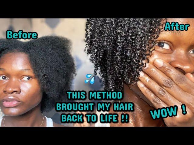 THIS METHOD BROUGHT MY HAIR BACK TO LIFE !| I tried the MAXIMUM HYDRATION METHOD and I’m speechless!